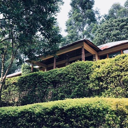 Bwindi Forest Lodge Buhoma Exteriör bild