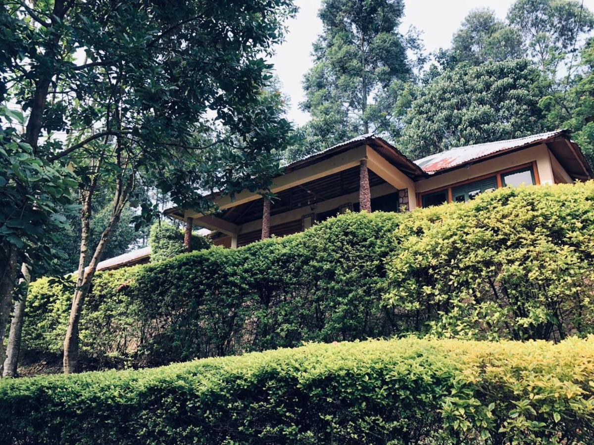 Bwindi Forest Lodge Buhoma Exteriör bild