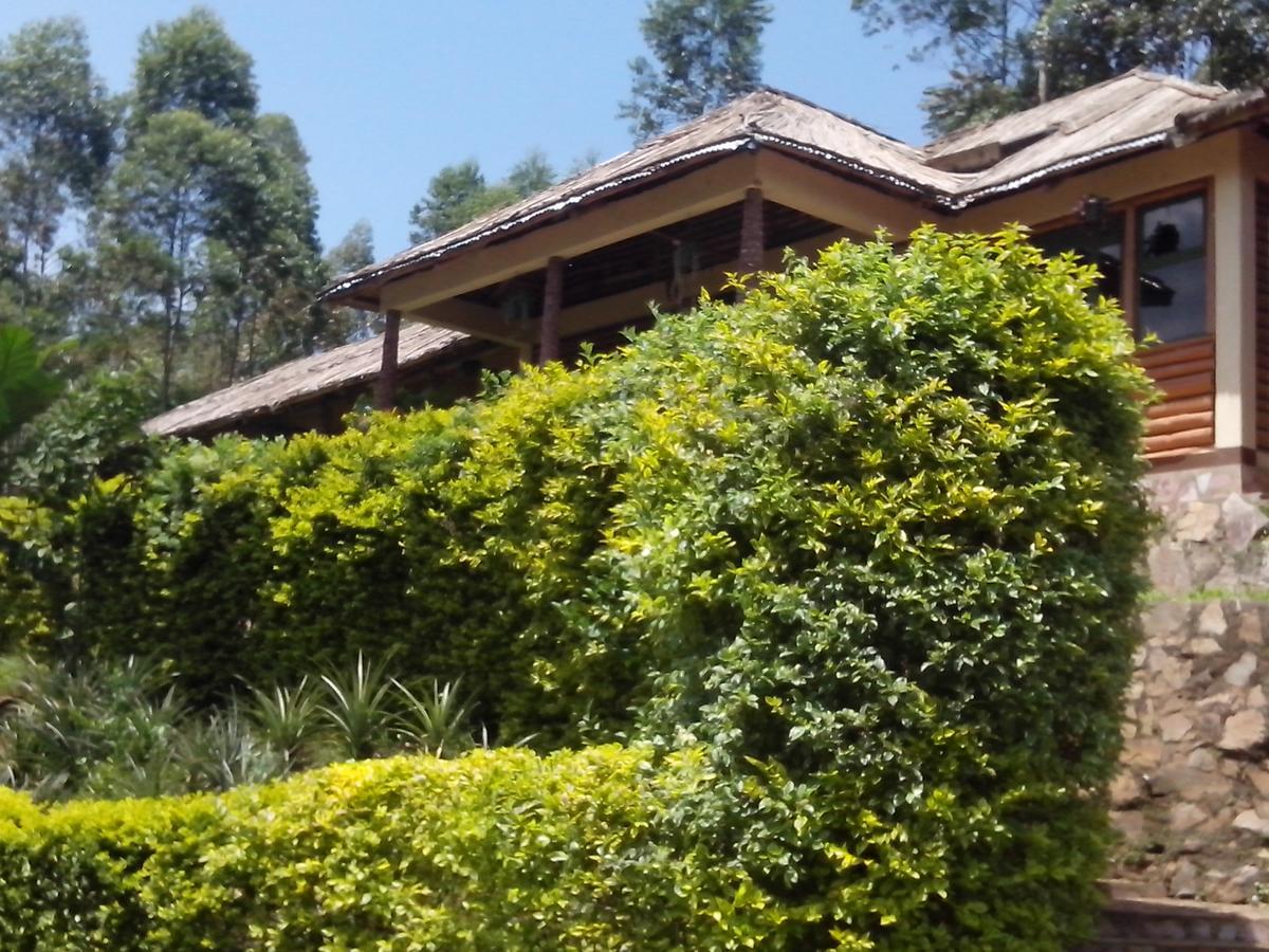 Bwindi Forest Lodge Buhoma Exteriör bild