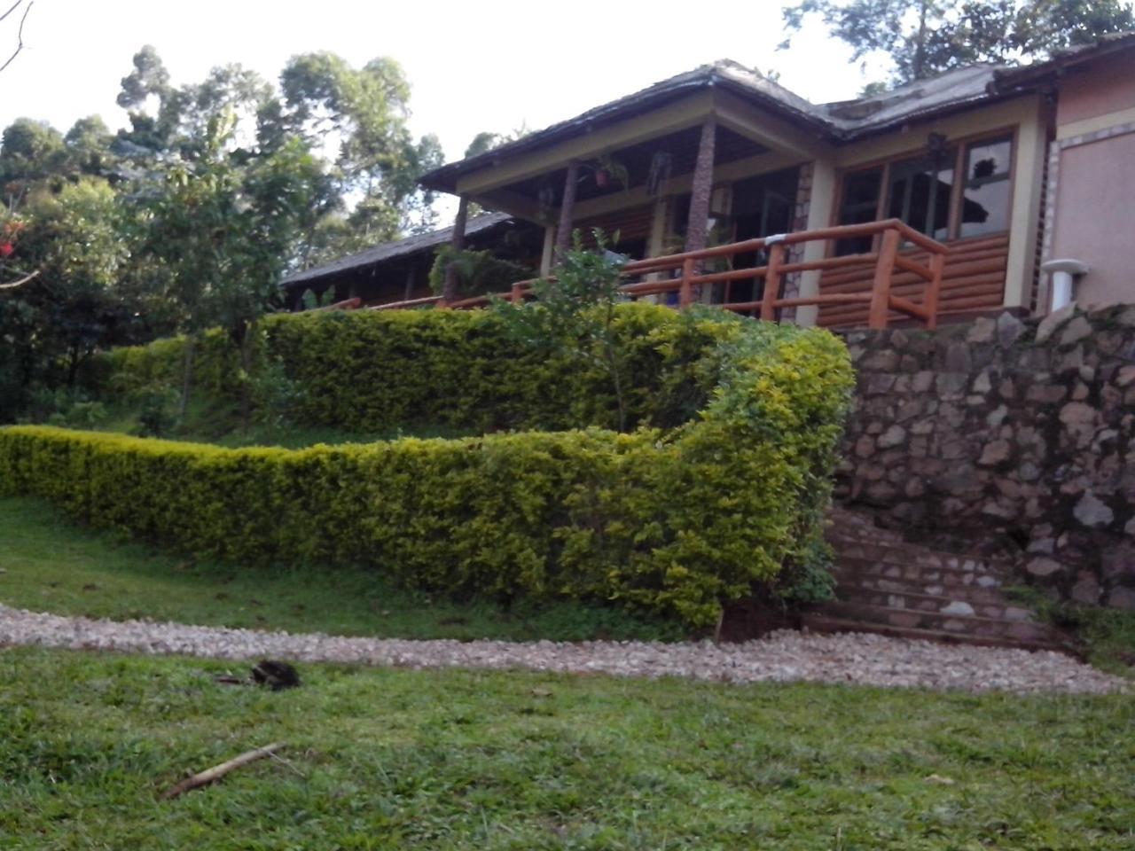 Bwindi Forest Lodge Buhoma Exteriör bild